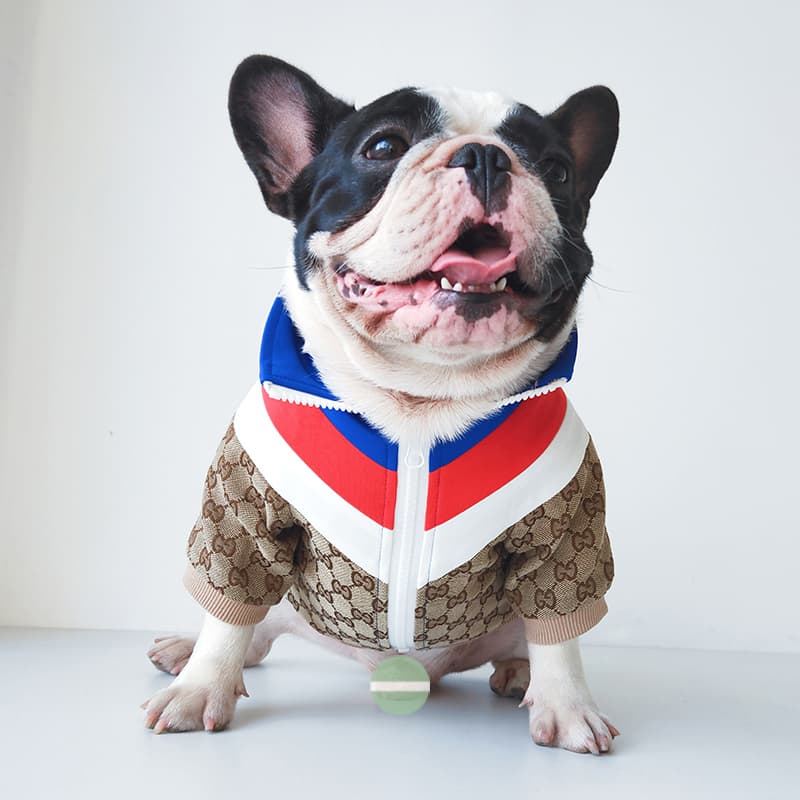 GUCCI Contrast Design Jacquard Dog Jacket