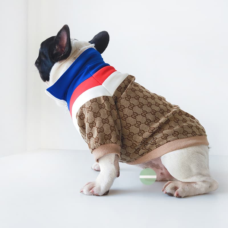 GUCCI Contrast Design Jacquard Dog Jacket