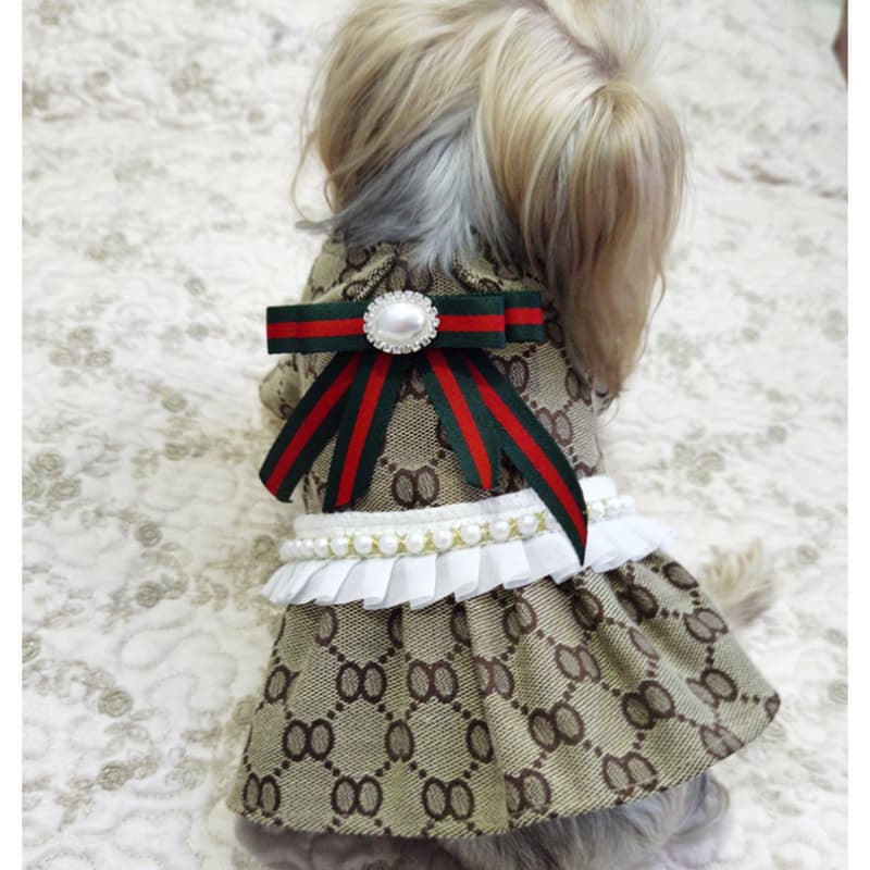 Gucci-Inspired Dog Dress