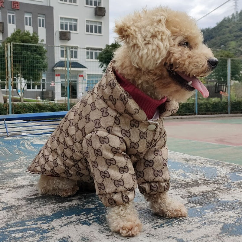 Gucci Dog Jacket – Classic GG Print Waterproof Coat