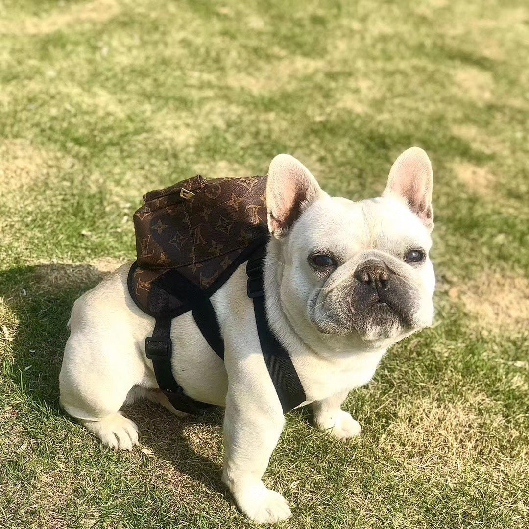 LV Monogram Dog Backpack