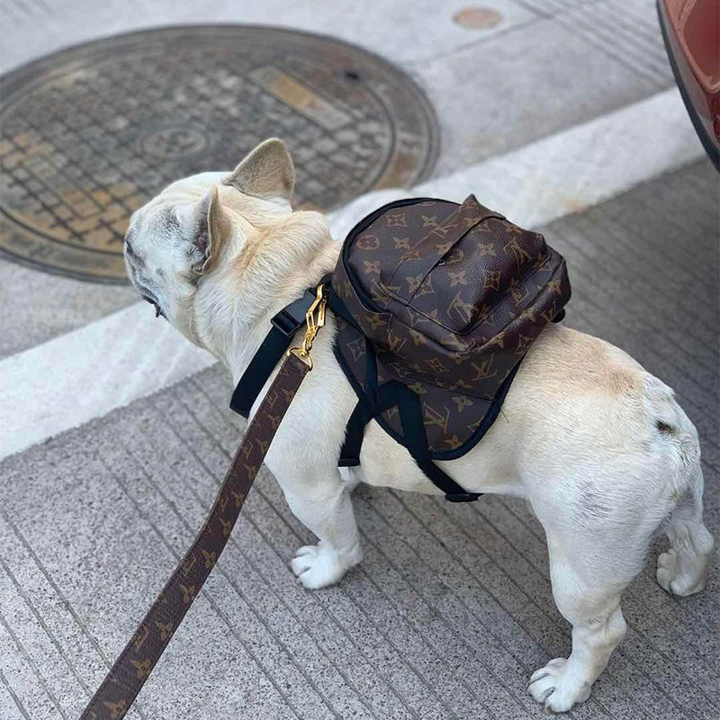 LV Monogram Dog Backpack