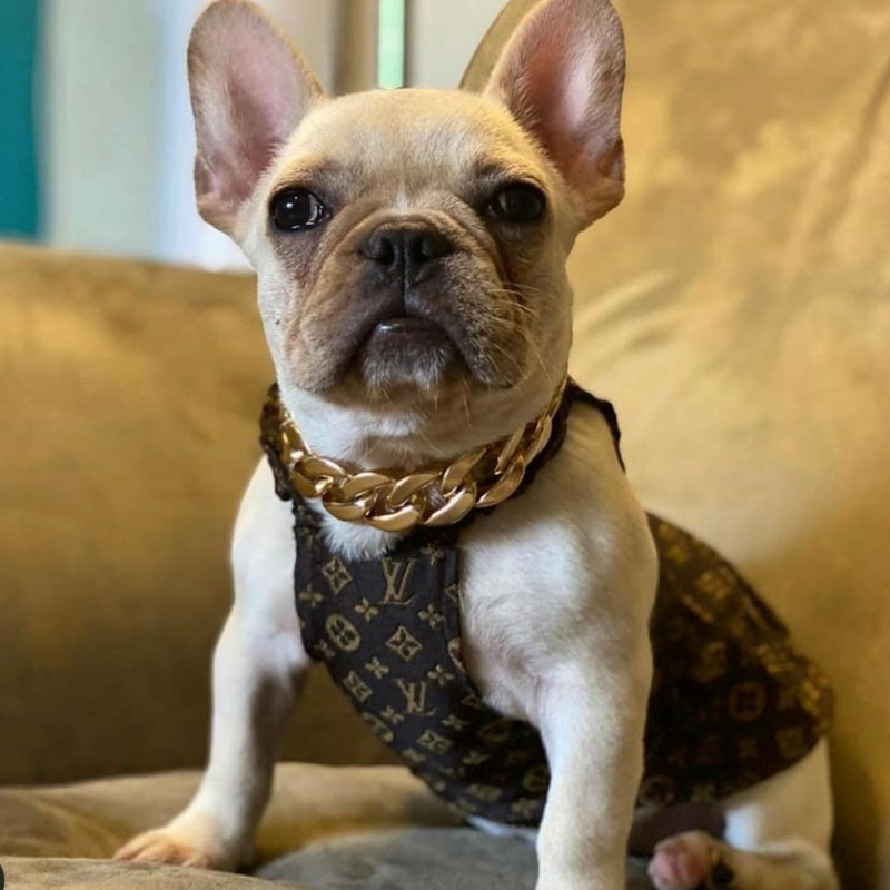 LV Monogram Dog Sundress