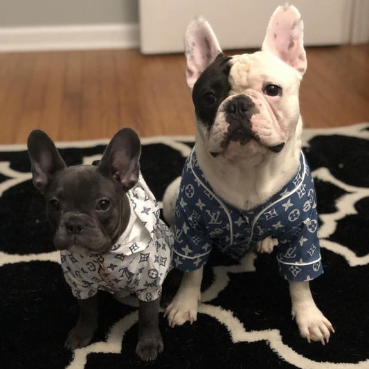 LV x Supreme Dog Pajama