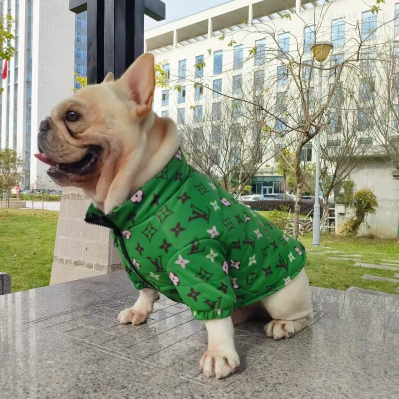 Louis Vuitton Emerald Green Dog Jacket