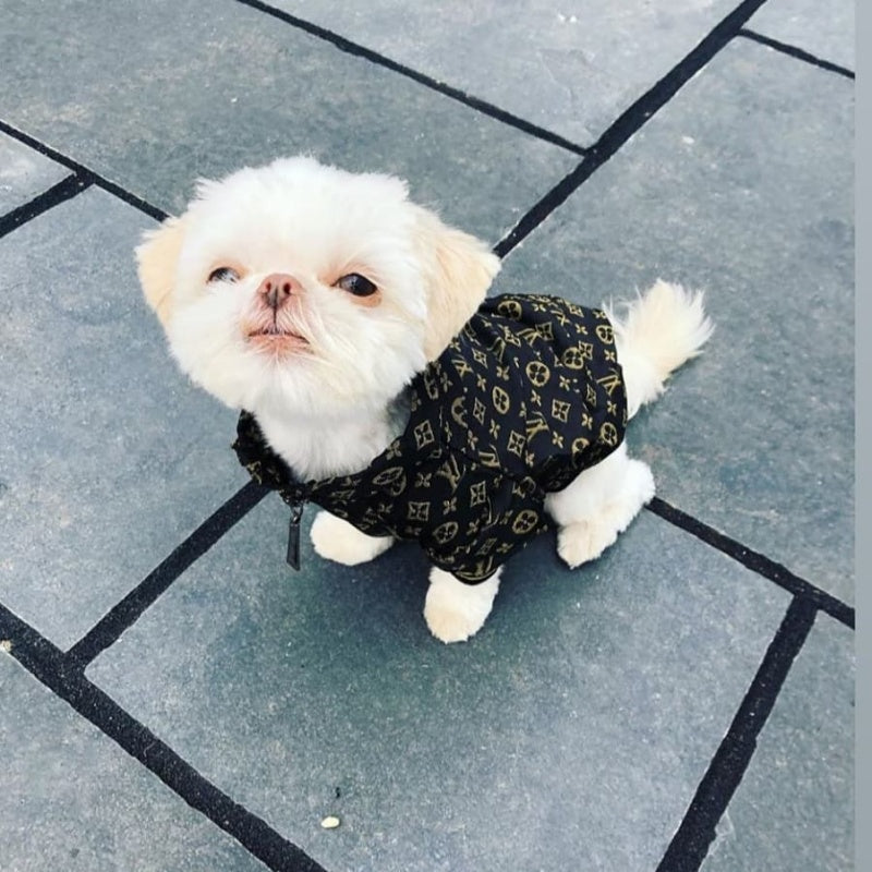 Louis Vuitton Monogram Dog Jacket