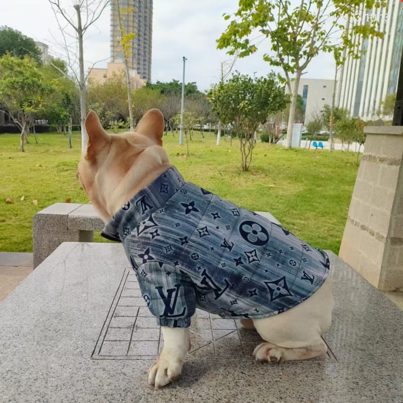Louis Vuitton Vintage Blue Floral Dog Jacket