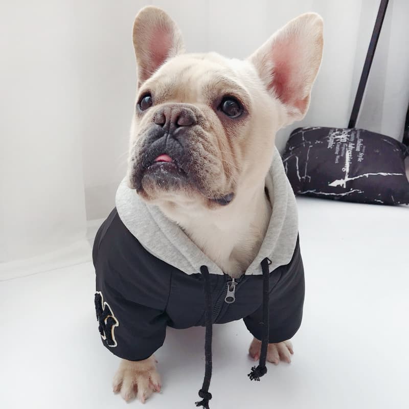 MLB New York Yankees Dog Hoodie