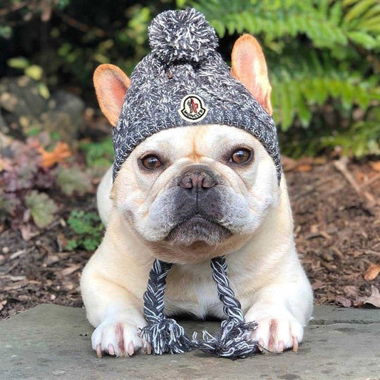 Moncler Dog Beanie