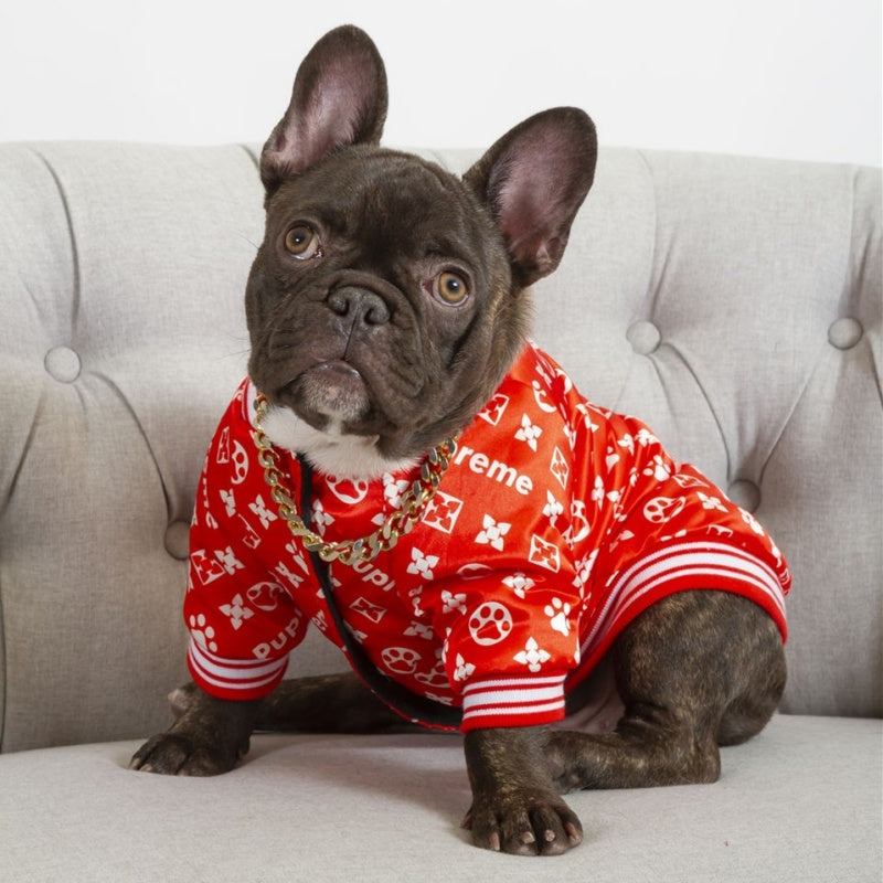 Pupreme x LV-Inspired Baseball Dog Jacket