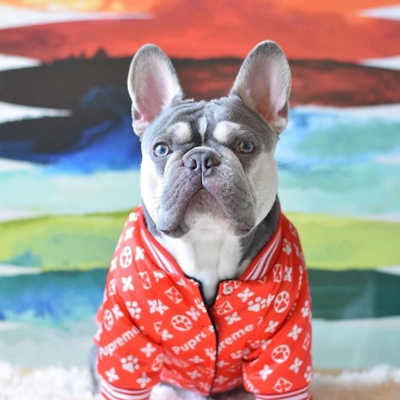 Pupreme x LV-Inspired Baseball Dog Jacket