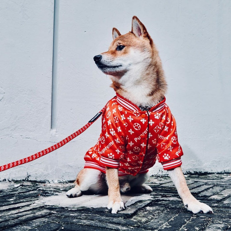 Pupreme x LV-Inspired Baseball Dog Jacket