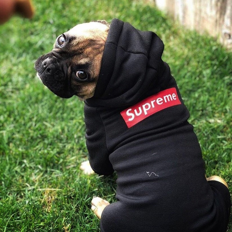 Supreme Style Dog Hoodie