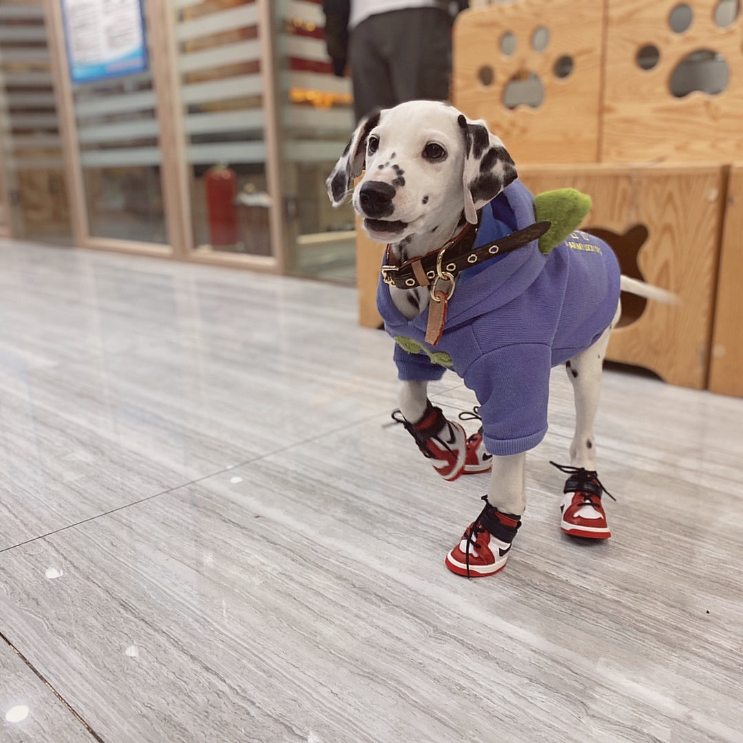 Nike-Inspired Dog Shoes