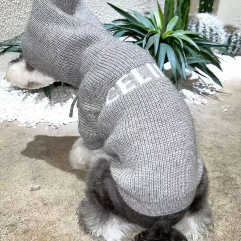 Celine Lettering Hoodie