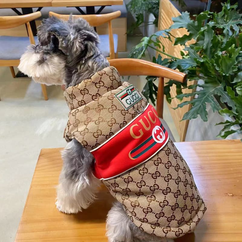 Gucci Monogram Cotton-Padded Dog Vest