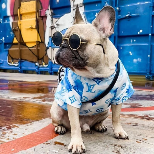 LV Watercolor Monogram Dog Tee