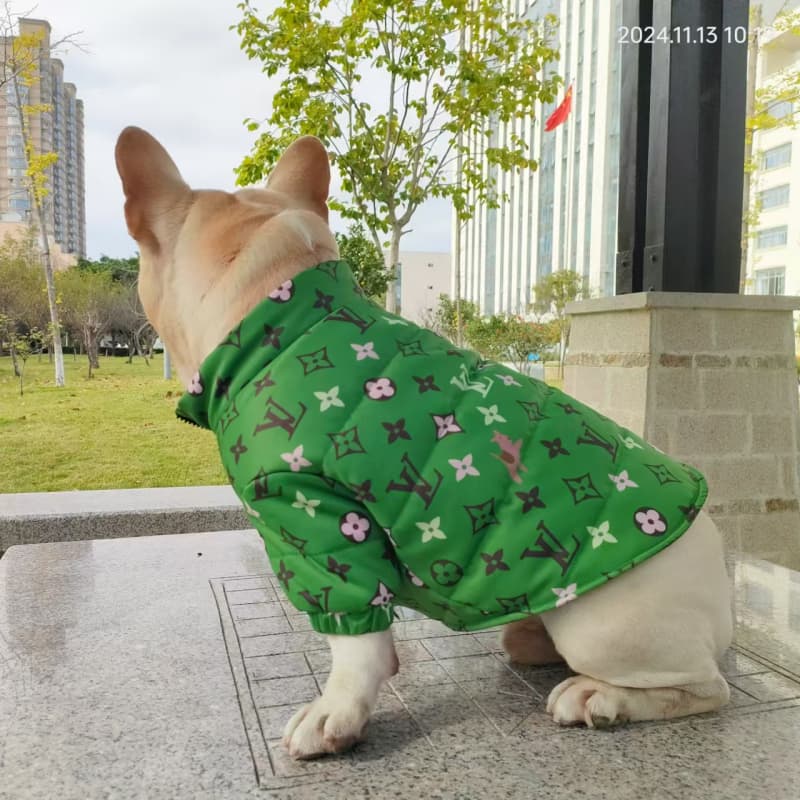 Louis Vuitton Emerald Green Dog Jacket