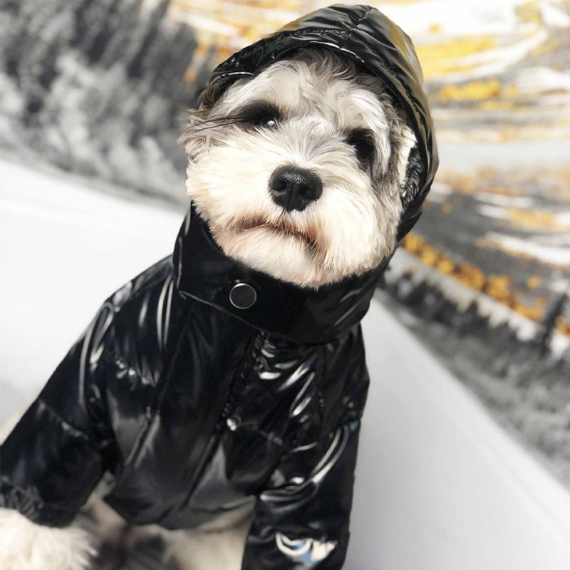 Moncler Hooded Down Dog Jacket