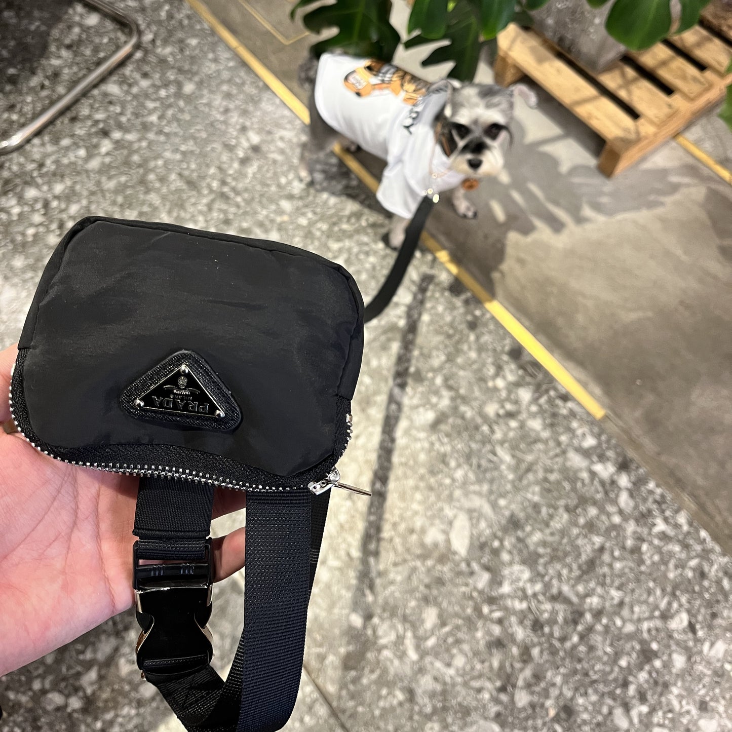 Prada Dog Leash - 150cm Luxury Lead with Triangle Logo & Built-in Pooper Bag Pouch