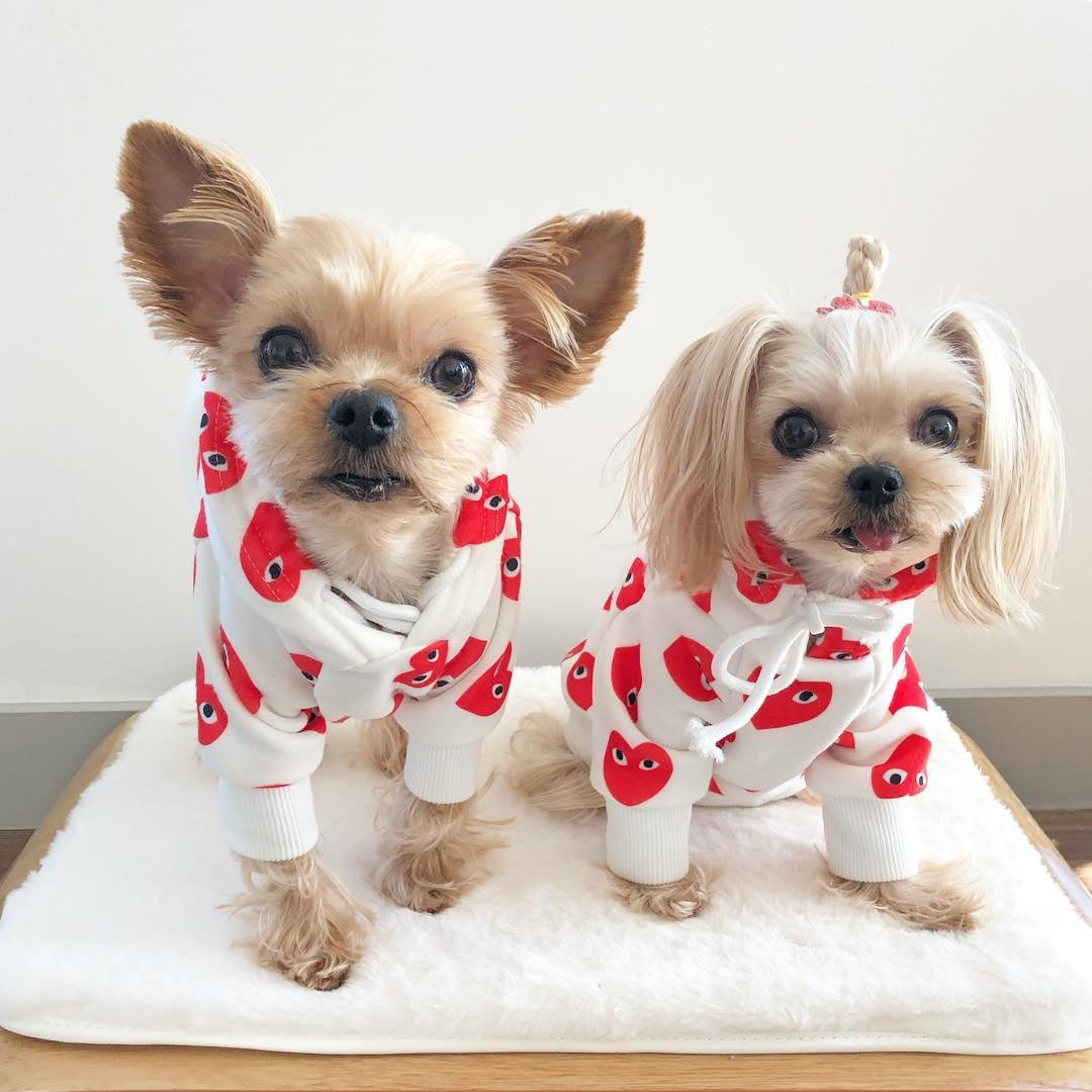 Comme des Garçons Inspired Dog Hoodie
