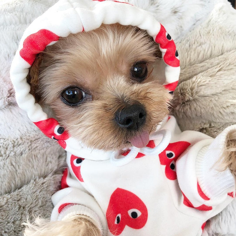 Comme des Garçons Inspired Dog Hoodie