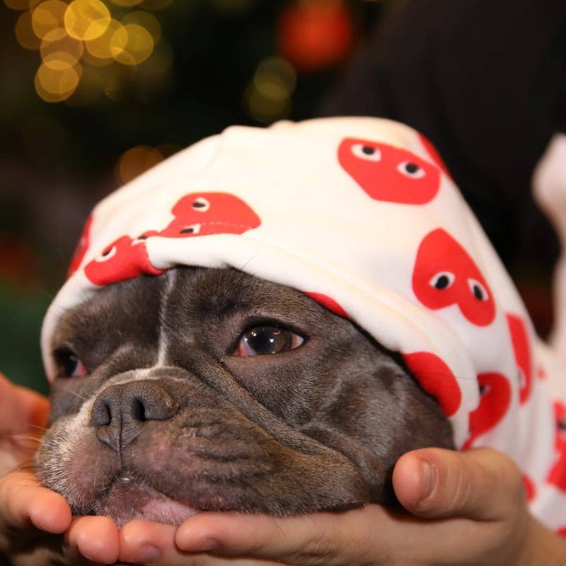 Comme des Garçons Inspired Dog Hoodie