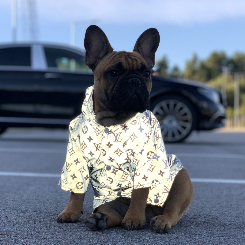 Louis Vuitton Inspired Reflective Dog Jacket